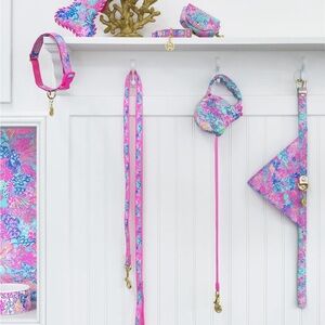 Lilly Pulitzer dog bowls leash collar and dog waste bag carrier set NEW IN BOX!